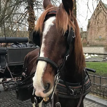 Ruim Centrum Heist En Zeezicht