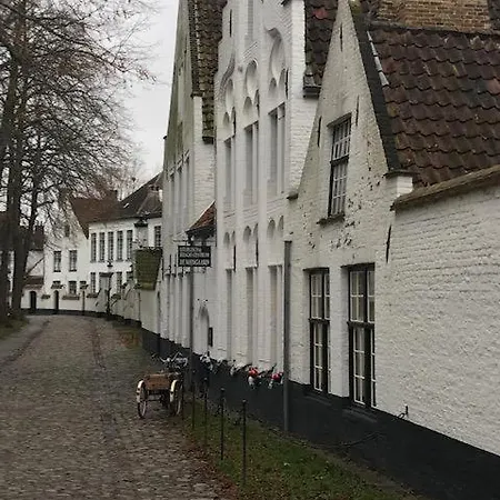Ruim Centrum Heist En Zeezicht Appartement *